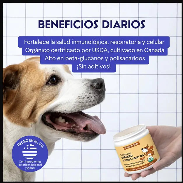 Turkey Tail Mushroom Polvo Para Perro