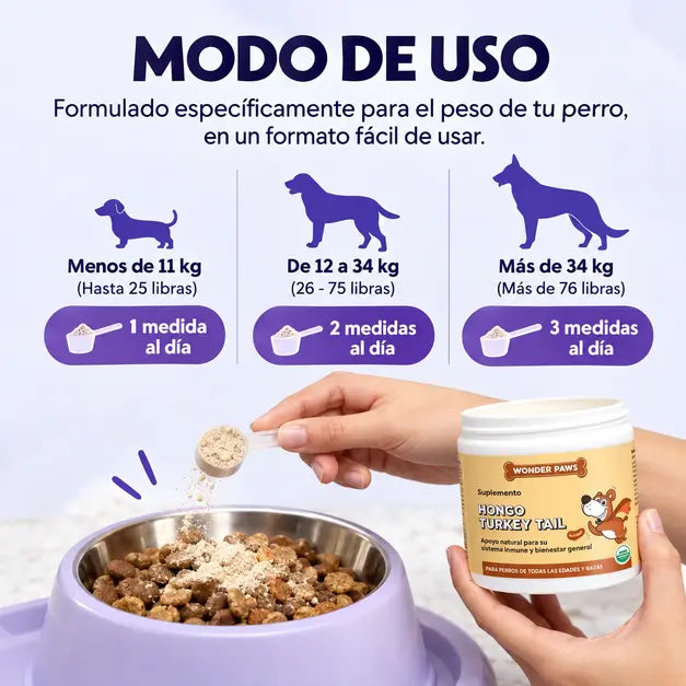 Turkey Tail Mushroom Polvo Para Perro