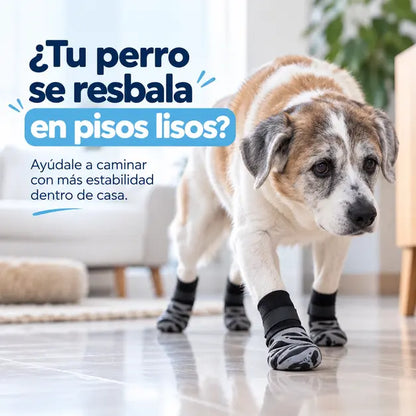 Medias Antideslizantes Perros
