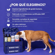 Turkey Tail Mushroom Polvo Para Perro